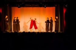 Dance Festival 2016 - " Durch die Epochen des Tanzes "